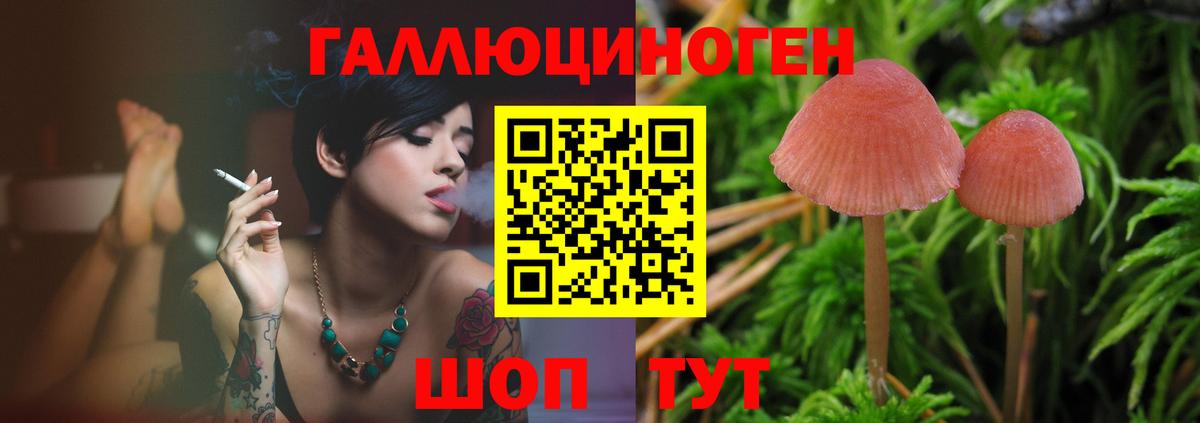 Ярославль  Галлюциногенные грибы MAGIC MUSHROOMS  Вход с VPN 